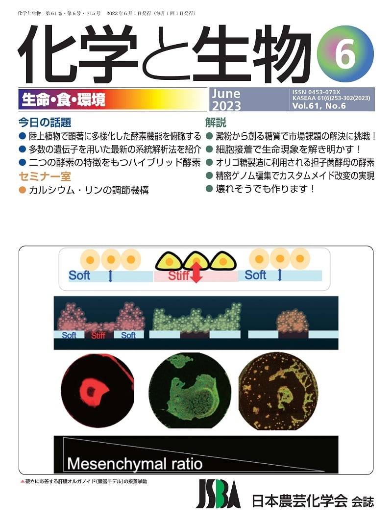 化学と生物 2023年 06月号 (Vol.61 No.6) | 学術書籍netショップ