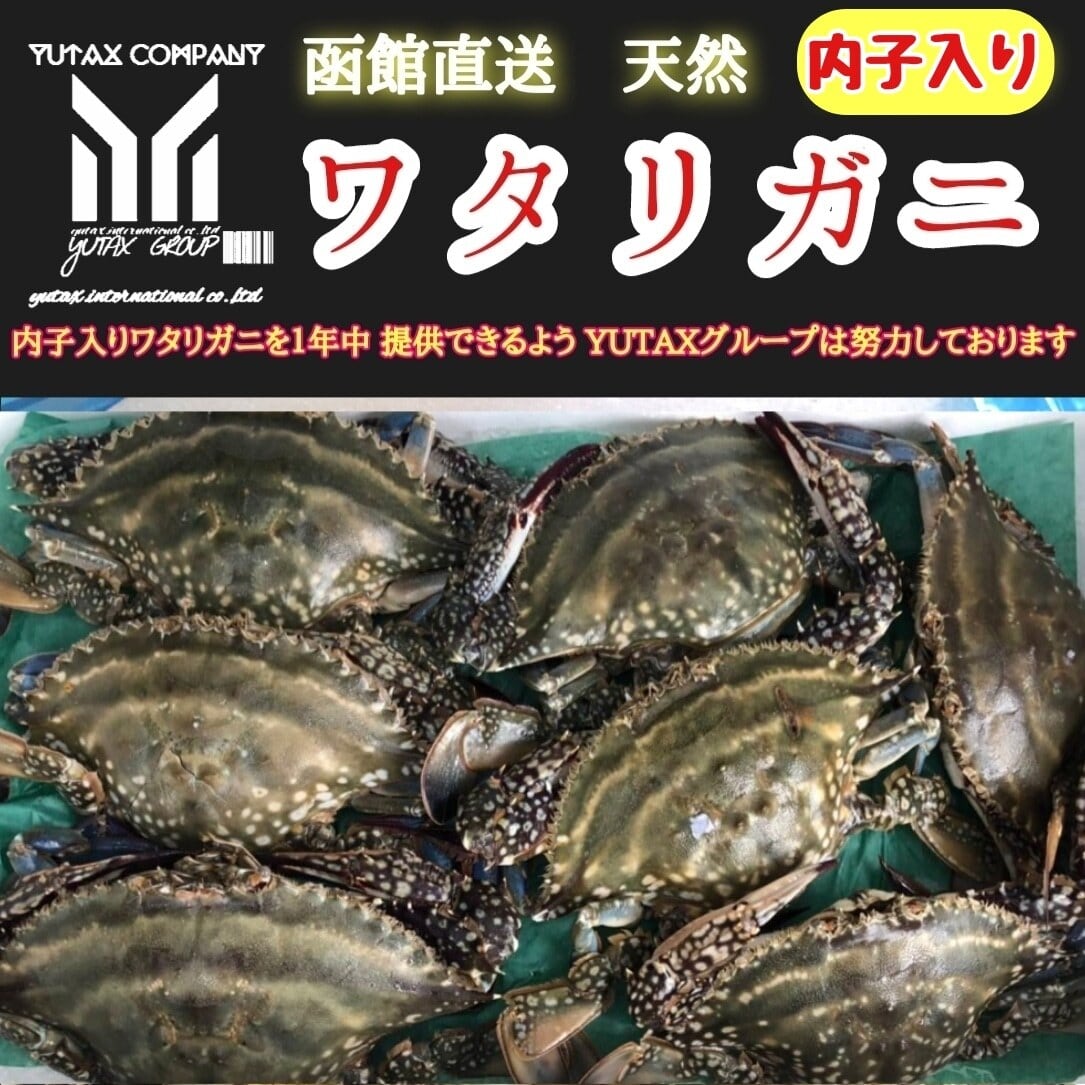 北海道産ワタリガニ内子たっぷり２㎏