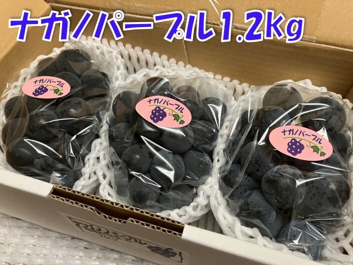 ナカノセラミックロッド7ミリから12ミリ ナガノパープル 1.2kg 贈答用 | やっさん農場