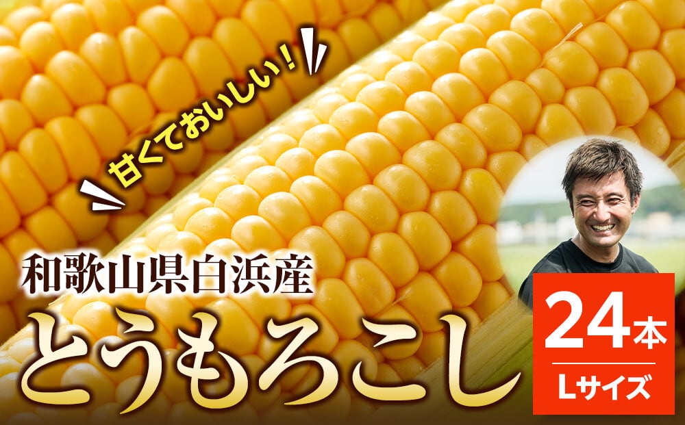 とうもろこしLサイズ12本（上限に達したため販売を終了いたします