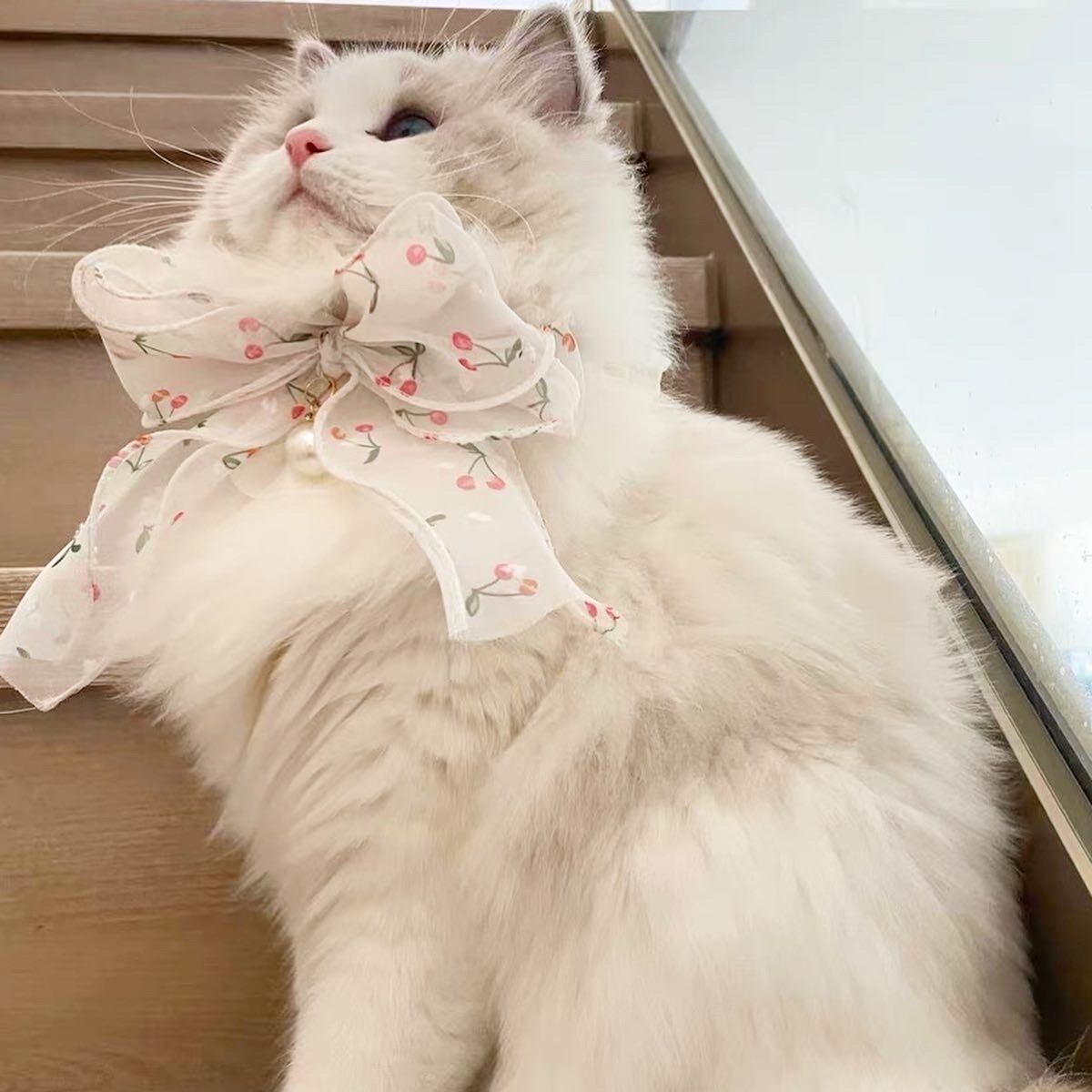 Cherry Lace エプロン from MOG 猫 リボン チョーカー すたい 付け襟