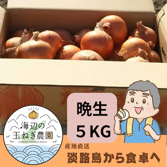 たまねぎ5KG