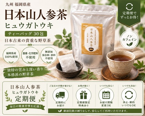 【毎月定期便】日本山人参茶 「ヒュウガトウキ」ティーバッグタイプ 30パック