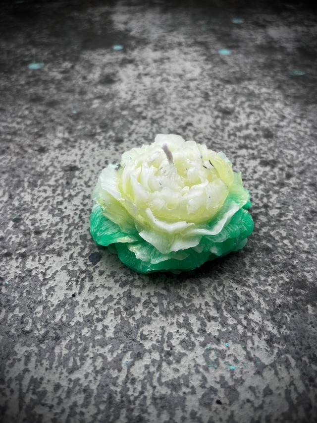 CANDLE FLOREALE