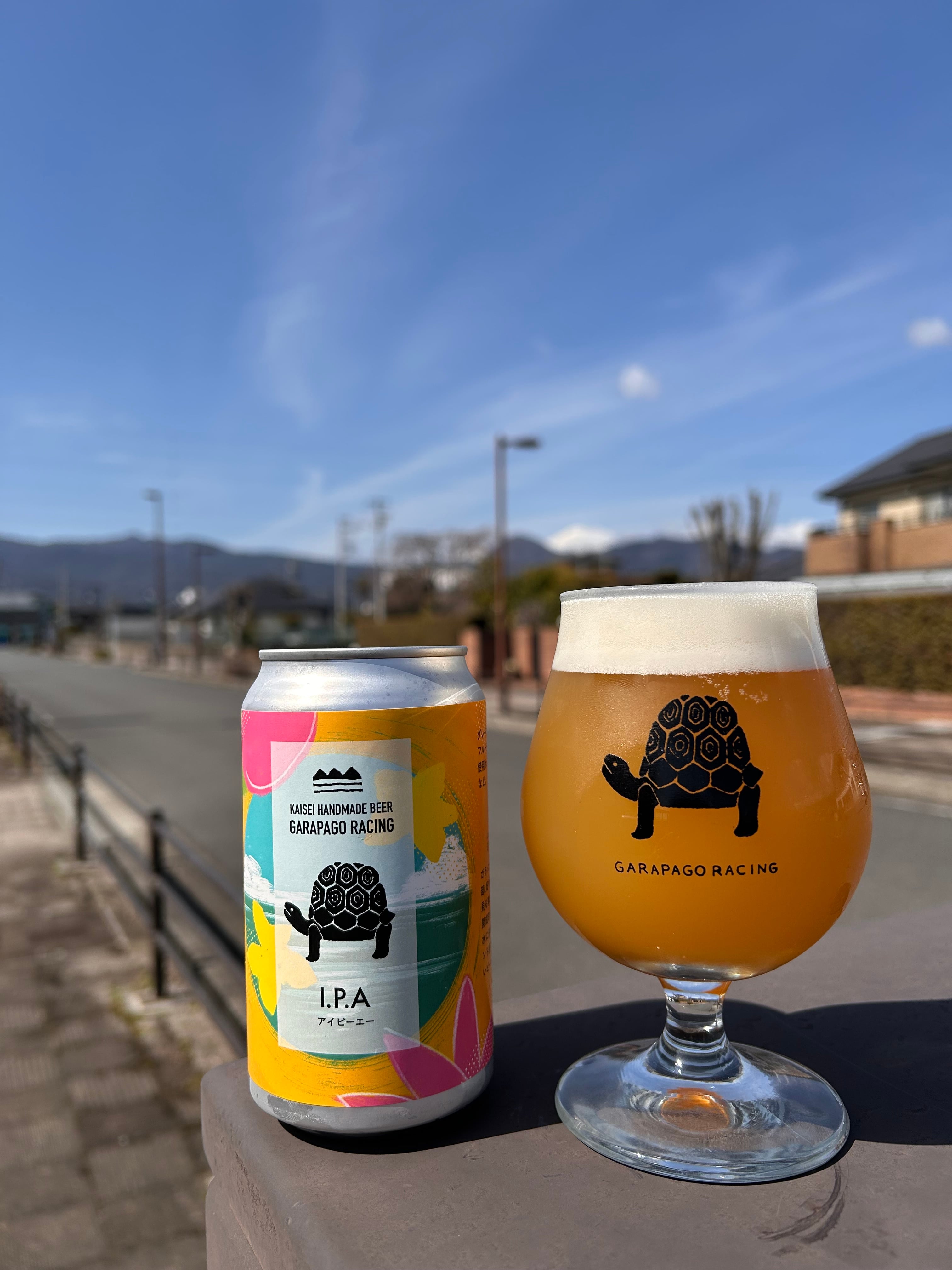 IPA アイ　ピー　エー　IPA 6本セット
