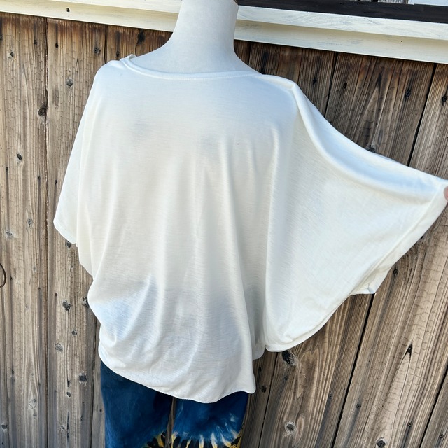 キラキラドルマンぞうさん