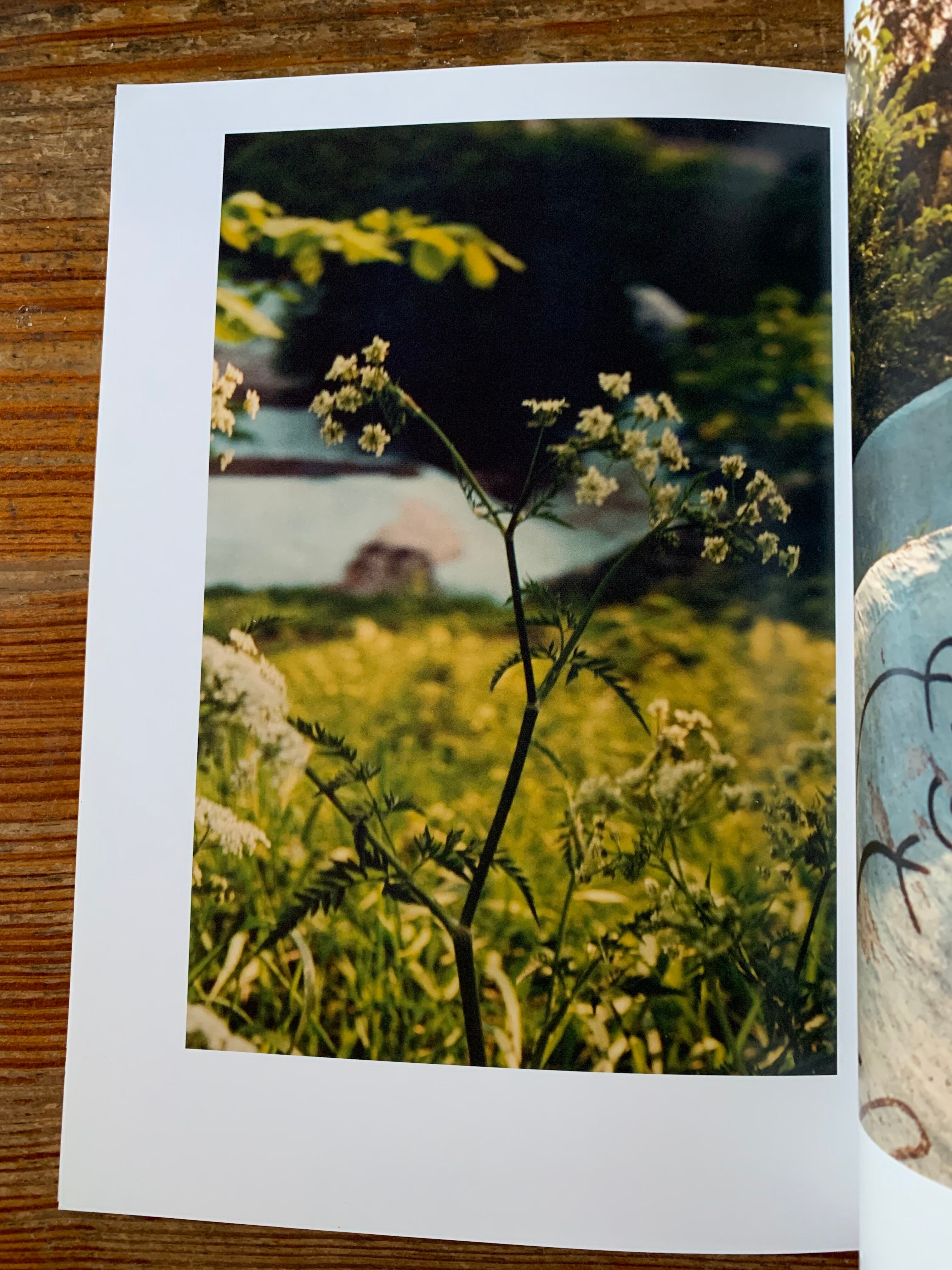 永瀬沙世『White Flowers』 | STANDARD BOOKSTORE