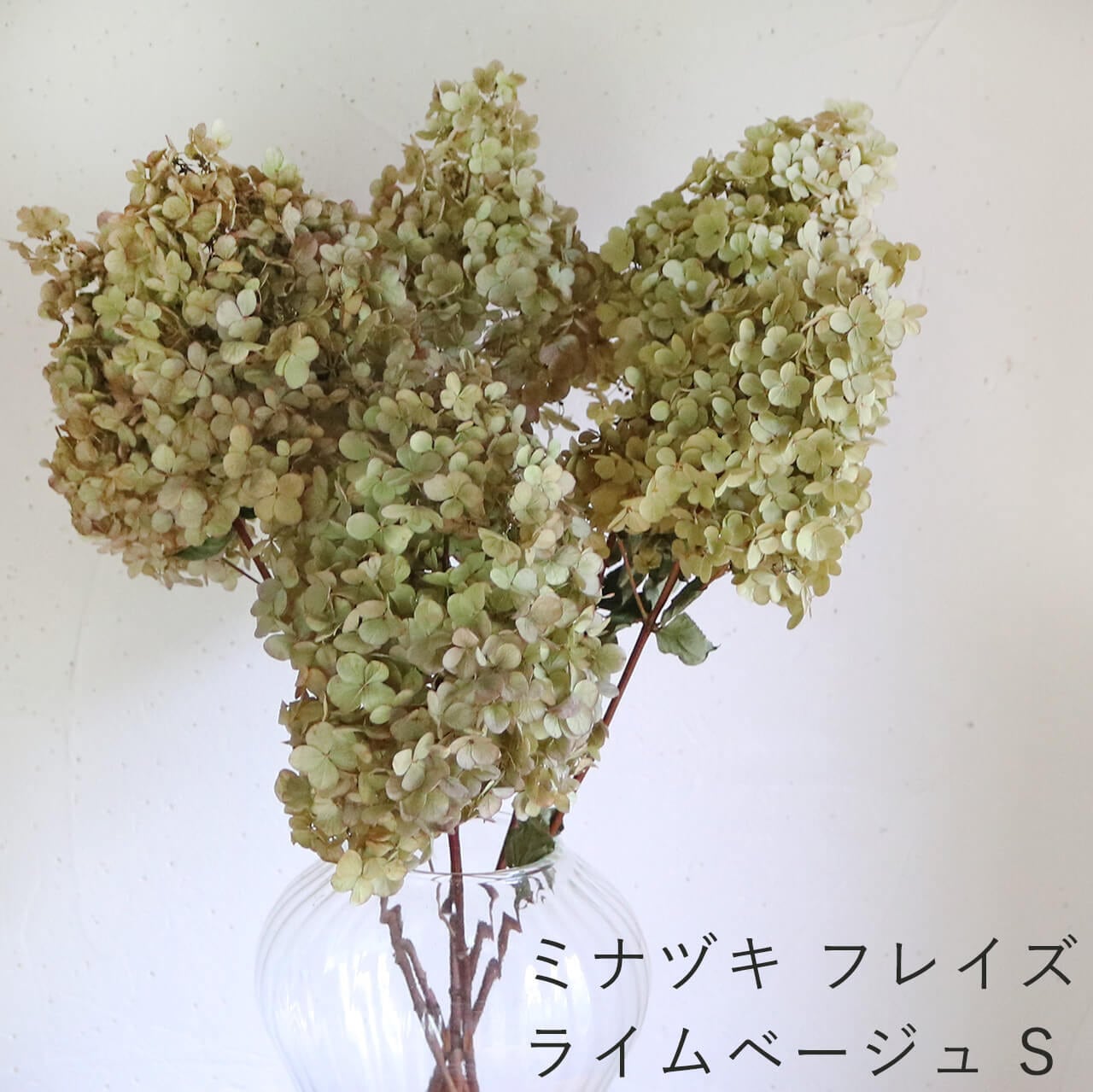 紫陽花ドライフラワー Z  90サイズ 2箱 大量！ 秋色紫陽花 北海道産