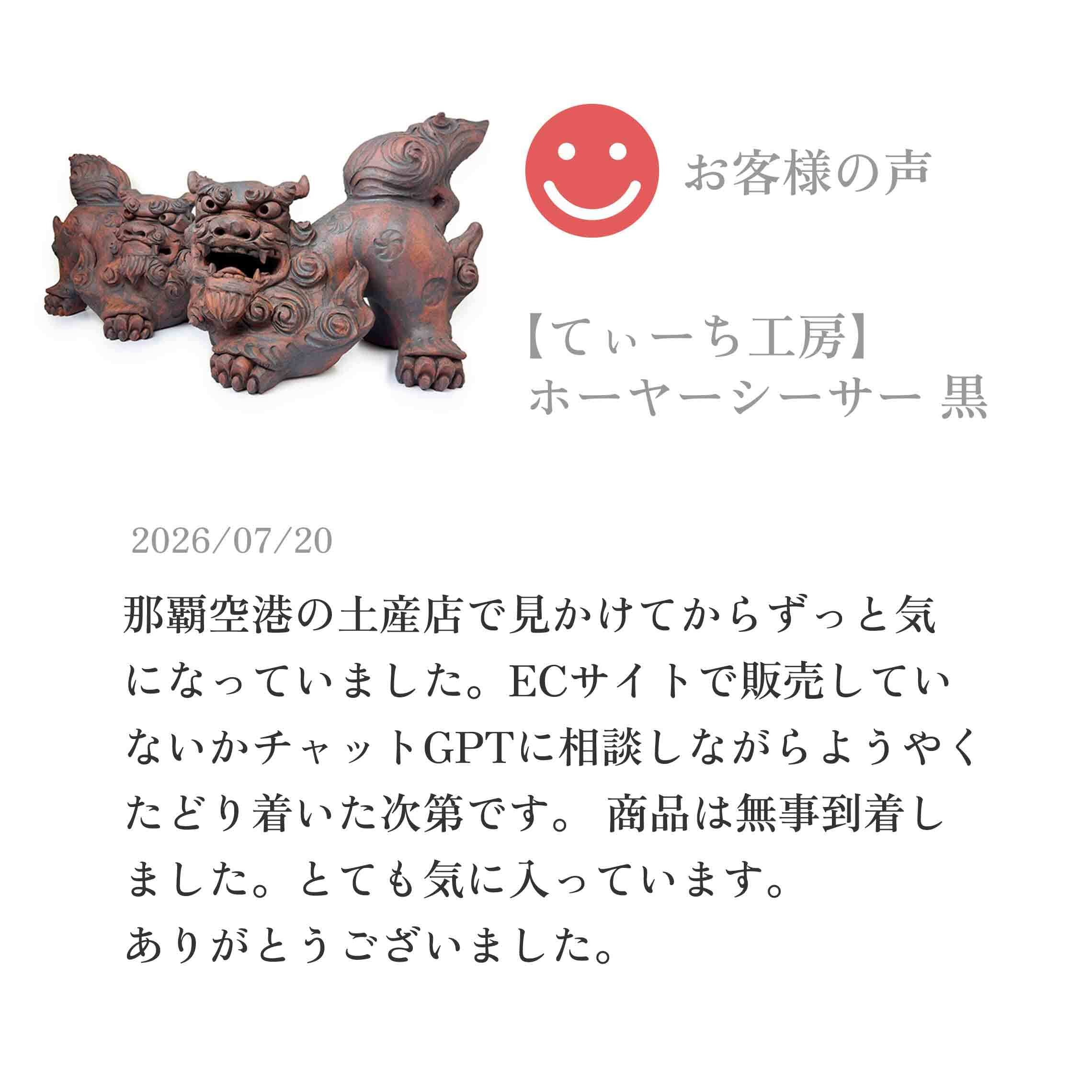 やちむん 工房 土の種 花瓶 検/作家物/沖縄/皿/純銀/チランジア/シーサー てぃーち工房】ホーヤーシーサー 黒 [やちむん] | 【琉球ガラス】と