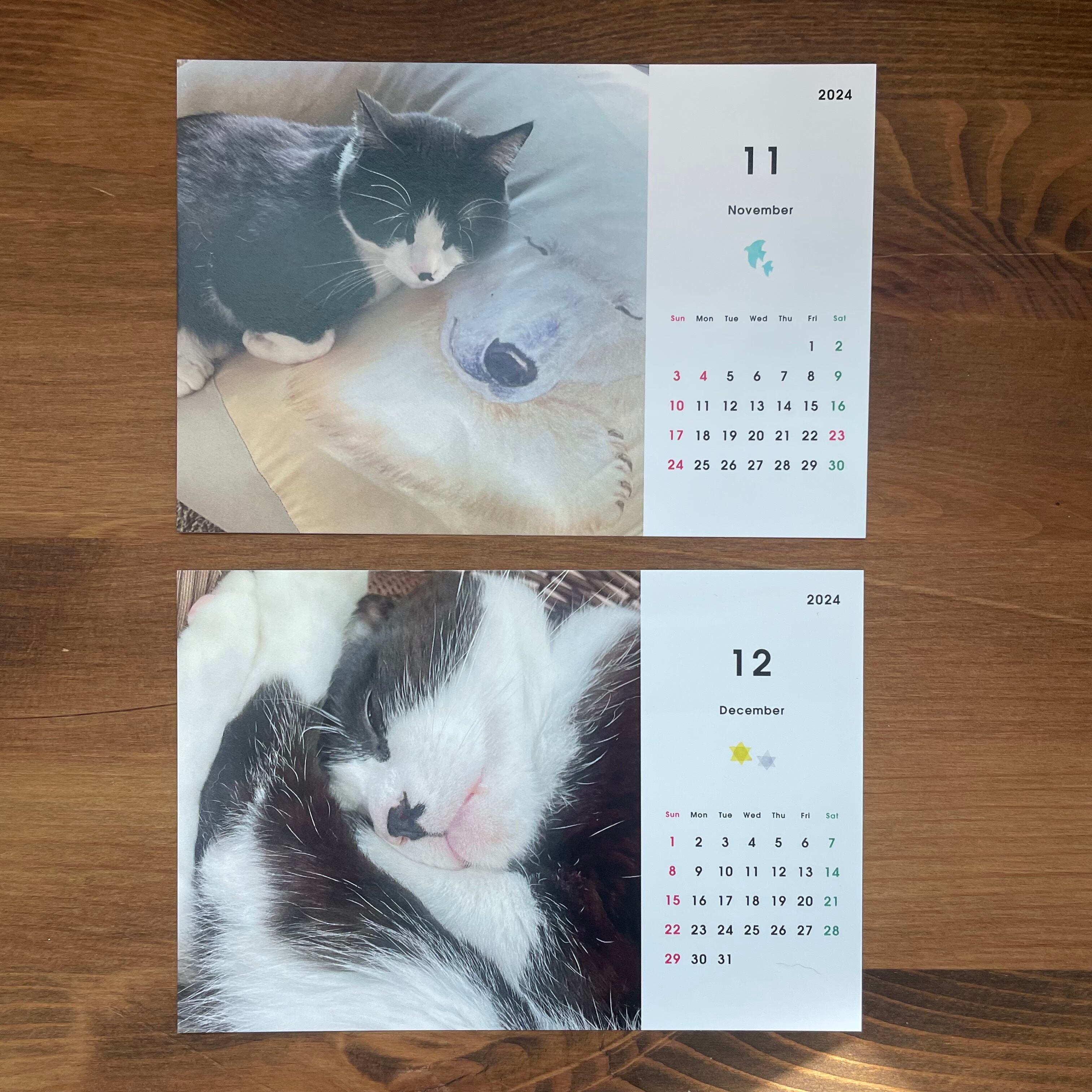 ムーン＆マリィカレンダー｜卓上〈2024〉猫 ネコ 猫カレンダー 猫柄 猫雑貨 卓上 ポストカードサイズ 保護活動支援 看板猫
