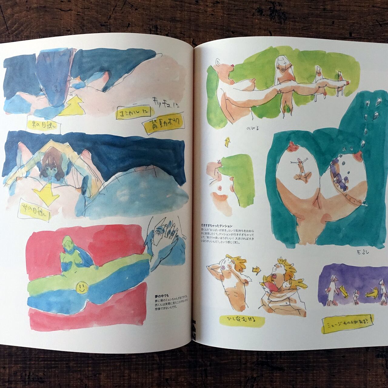 湯浅政明大全 Sketchbook for Animation Projects | タイムカプセル