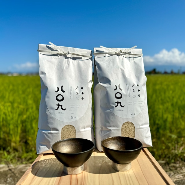 【釋永岳 × パークマンサー コラボ茶碗 2個】白米5kg × 2 富山県産コシヒカリ