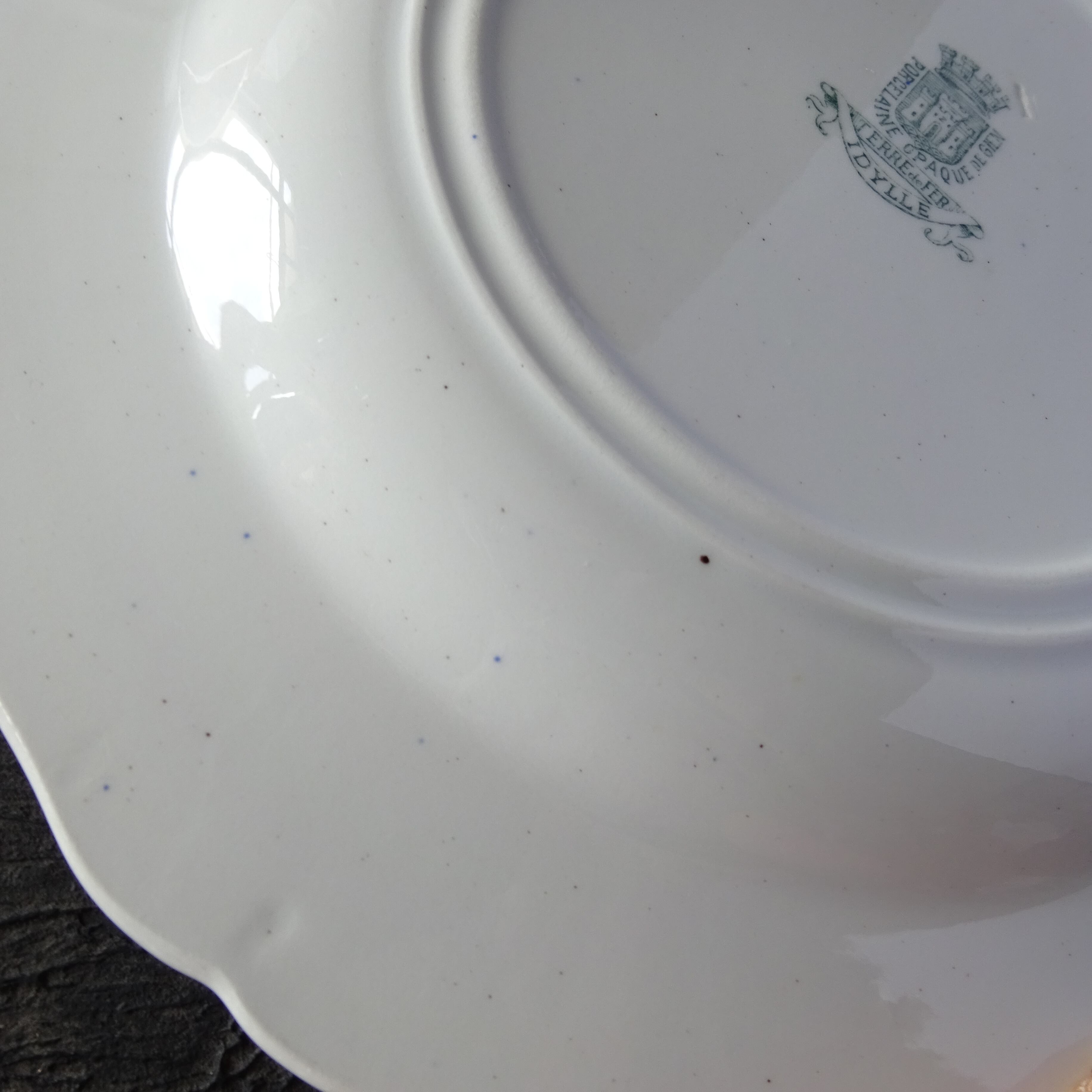 ☆TERRE de FER PORCELAINE OPAQUE DE GIEN modèle 《IDYLLE》 assiette demi creuse (B)