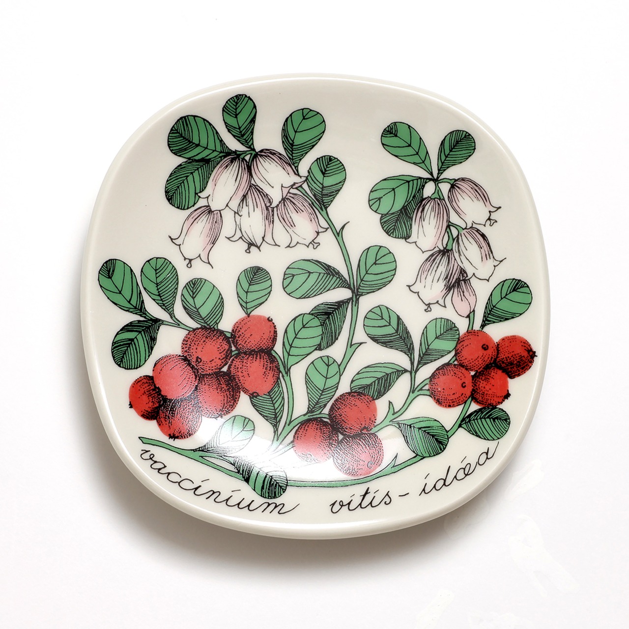 ARABIA アラビア Esteri Tomula エステリ・トムラ Botanica ボタニカ コケモモの小さな陶板 北欧ヴィンテージ