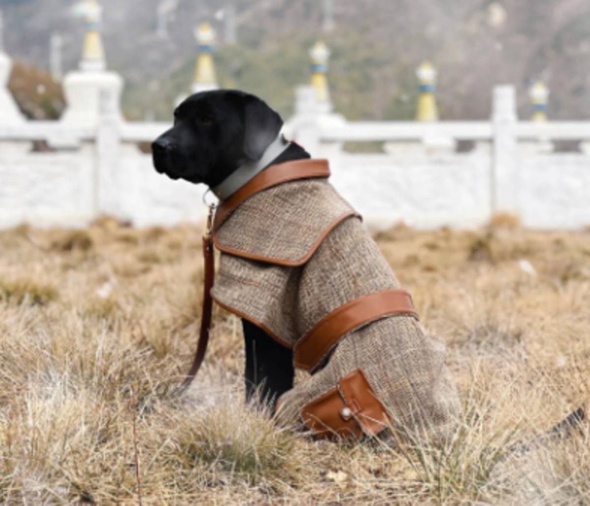 バーバリー トレンチコート 犬服