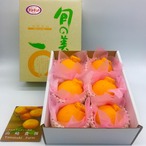 完熟アルギット不知火(露地)約1.5kg 【2月中・下旬頃～発送予定】