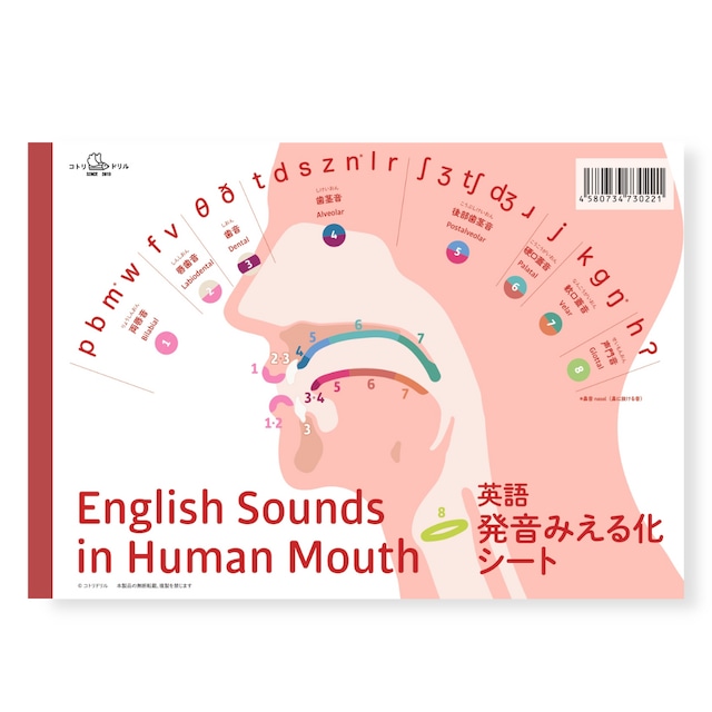 英語発音みえる化シート