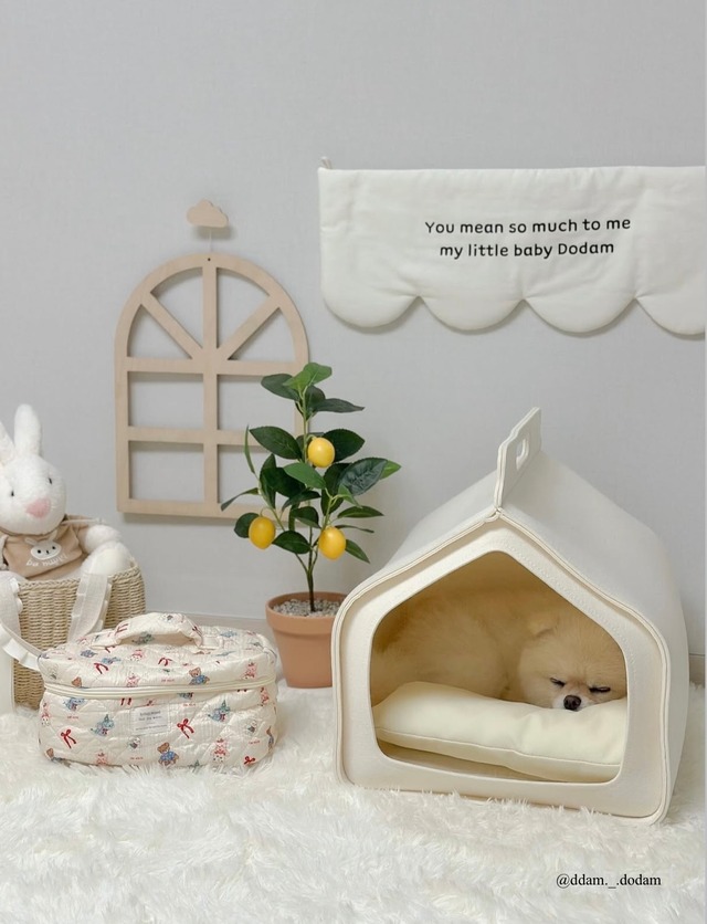 受注制作 Wave loop   Mサイズ  /  ペット カスタムネームタック ドアサイン ガーランド ファブリックオブジェ【韓国ブランドMAYRUA】