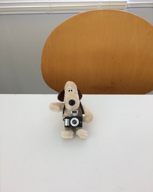 camera gromit key holder