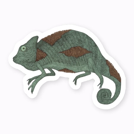 カメレオンステッカー | lichtillustration