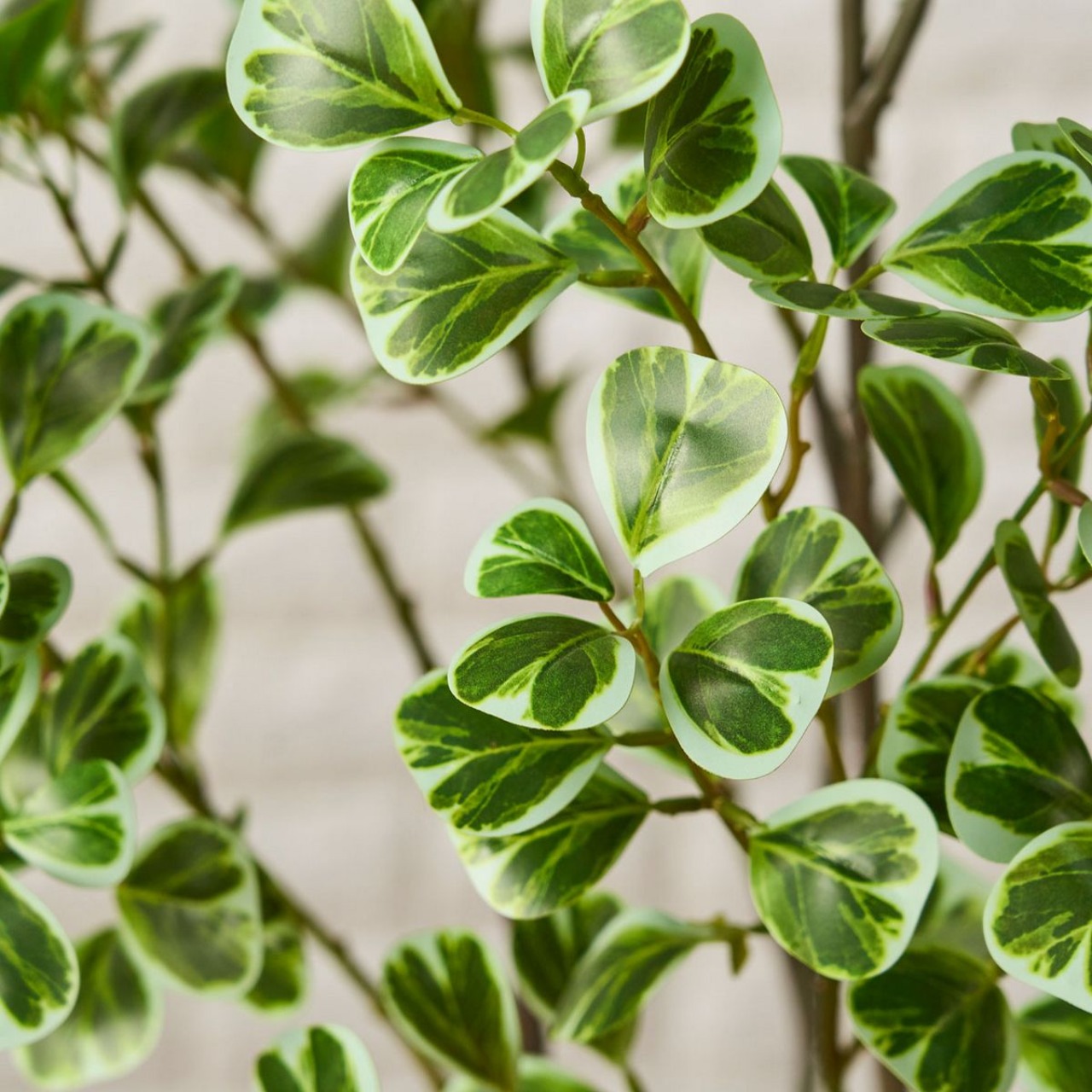 ファイカスツリーポット160㎝［人工観葉植物・フェイクグリーンT］