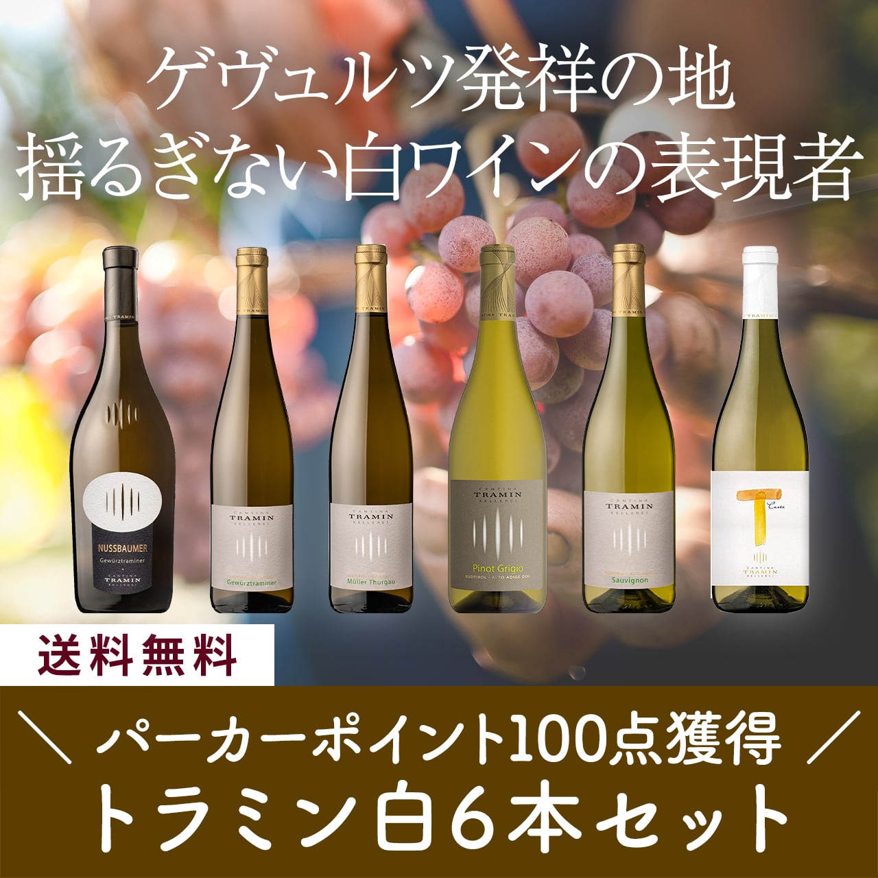 パーカーポイント100点獲得ワイナリー!トラミン白ワイン6本セット〈22%OFF・送料無料〉(B706070)