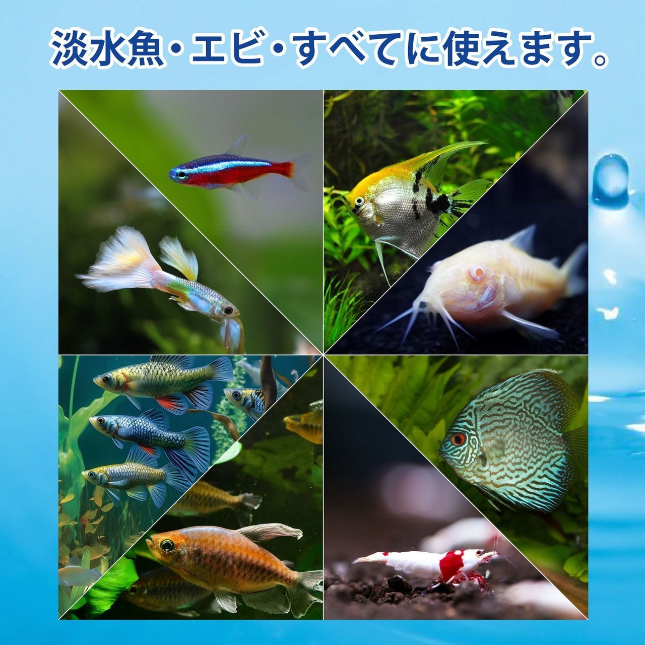 水の汚れを知る【90日用】水質テストキット
