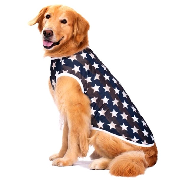 犬服 ペット服 中型犬 大型犬 メッシュ タンクトップ スター:5XL〜9XL
