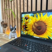 \ 公式ショップ限定価格❣️/ 超美品《新型2022年発売》Lenovo ThinkPad L15 Gen3 第12世代 15.6インチ ノートパソコン 安心サポート＆3ヶ月保証付き