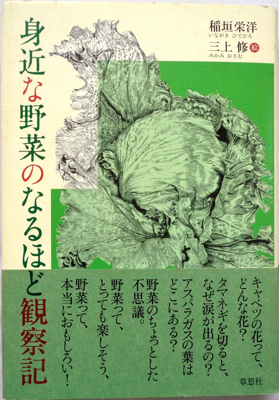 カール・ラーション絵葉書ブック 』 | あっちゅん堂