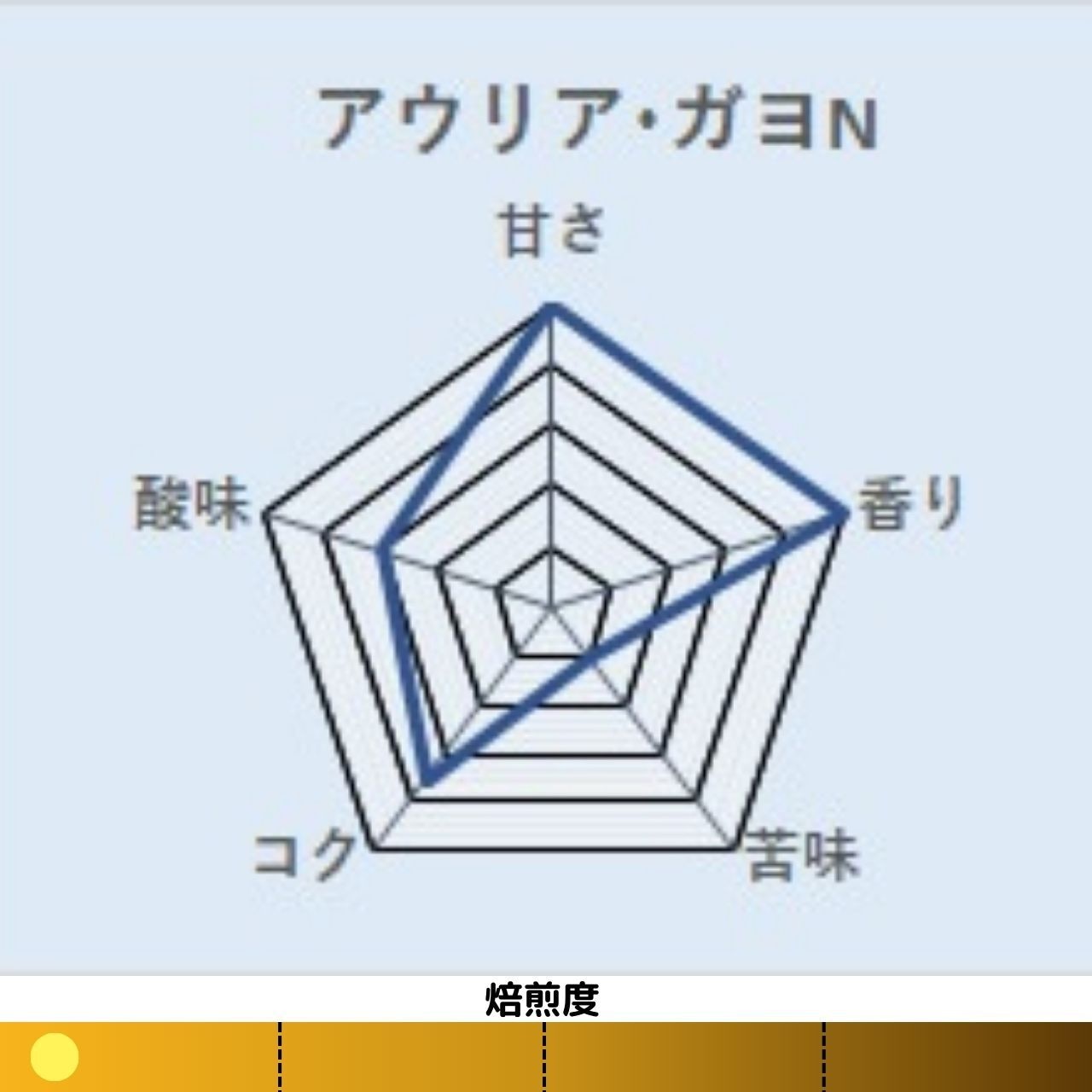 コーヒー　コーヒー豆　自家焙煎　アウリア･ガヨN 200g　浅煎り