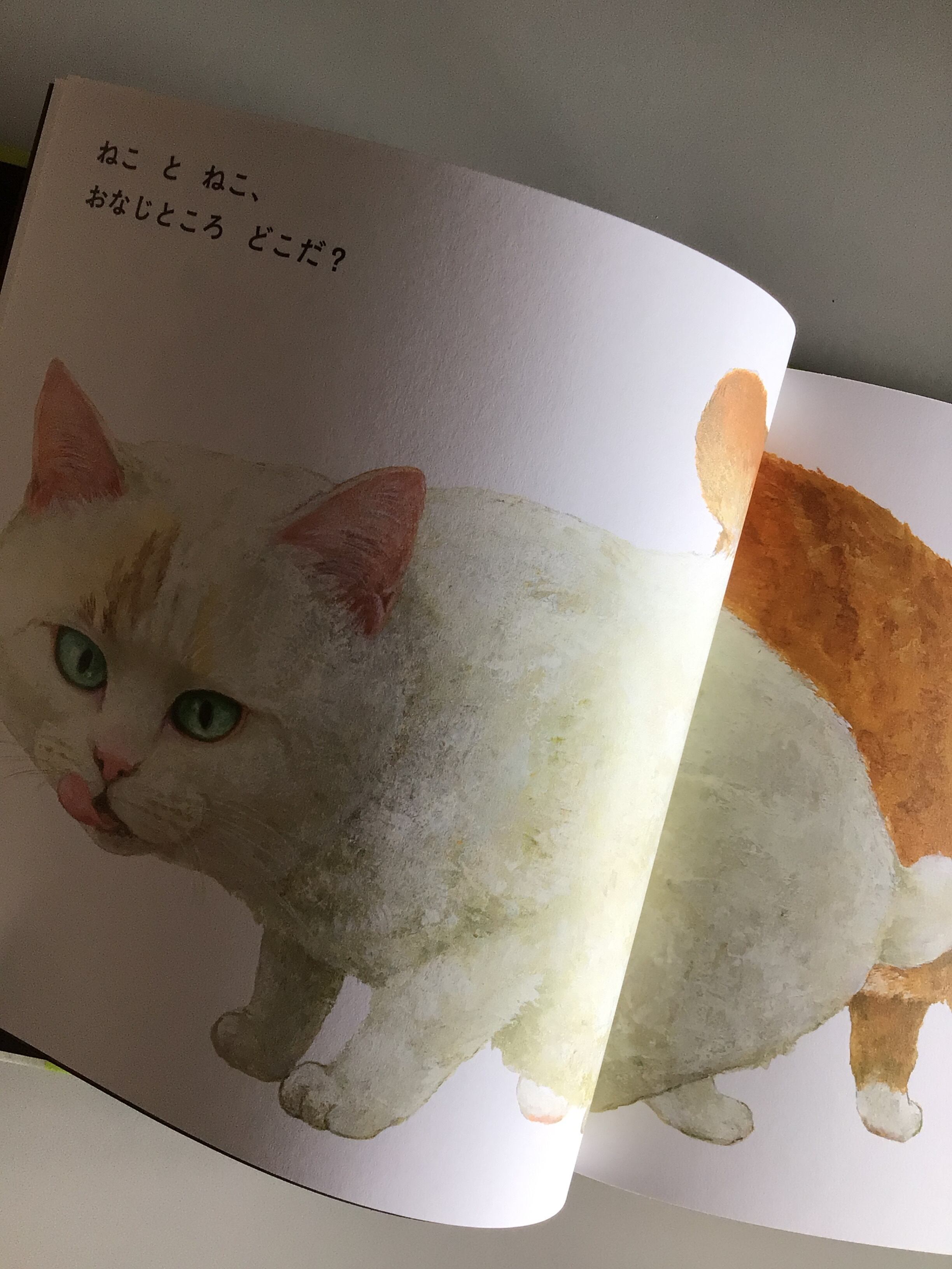 ねことねこ 町田 尚子 作 こぐま社 19x21cm | 小さな絵本屋さん