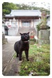 post card 053