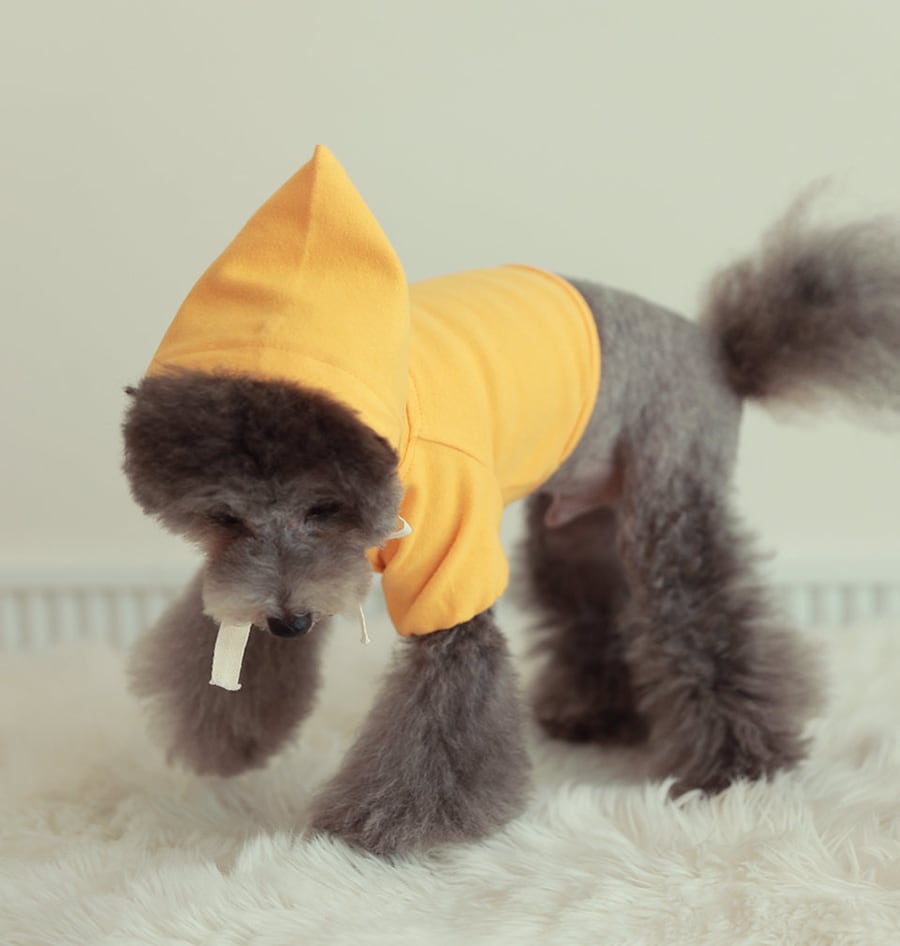 nagrang crop hood S ～ XL 4color / 犬服 秋冬 ショート丈 パーカー フード おパンツカット 無地 シンプル ドッグウェア 小型犬 中型犬 お揃い お出かけ 韓国ワンコ服