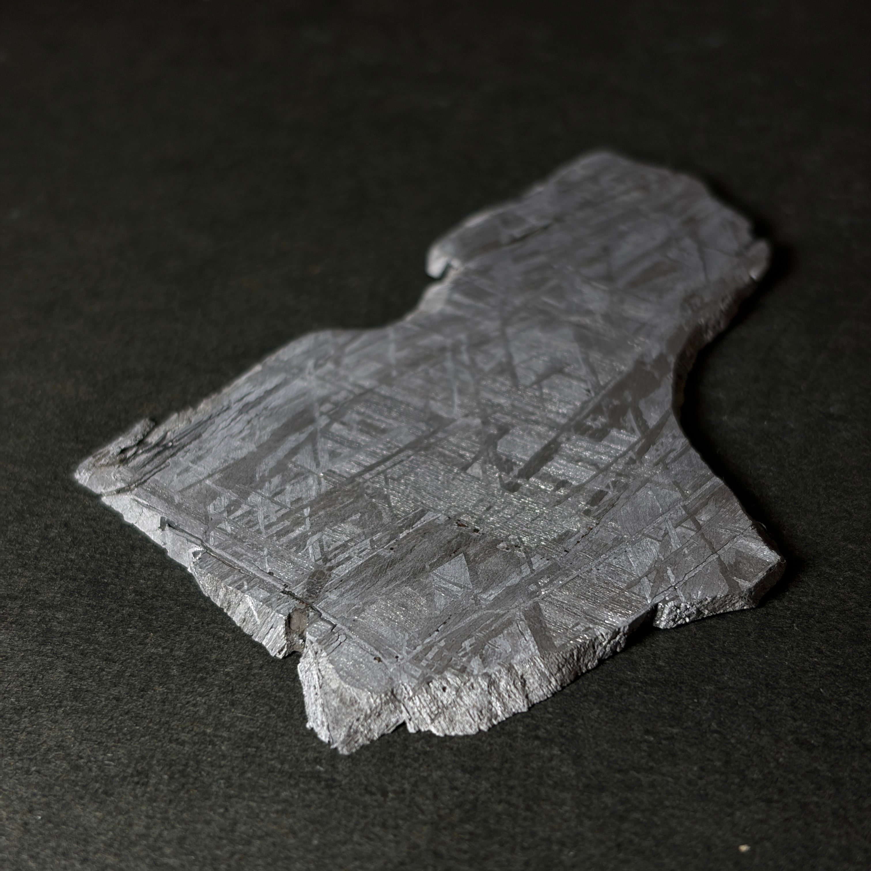 隕石絵画】ギベオン隕石 Gibeon Meteorite 26050601 | 【隕石屋