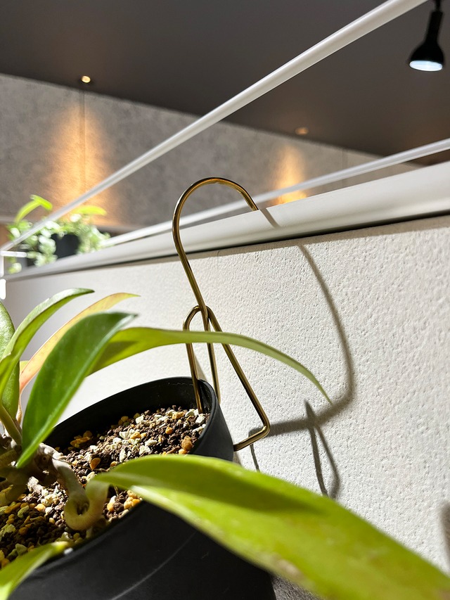 数量限定 4号素焼き鉢 グレー + ハンギングフック【T-E-H-4】