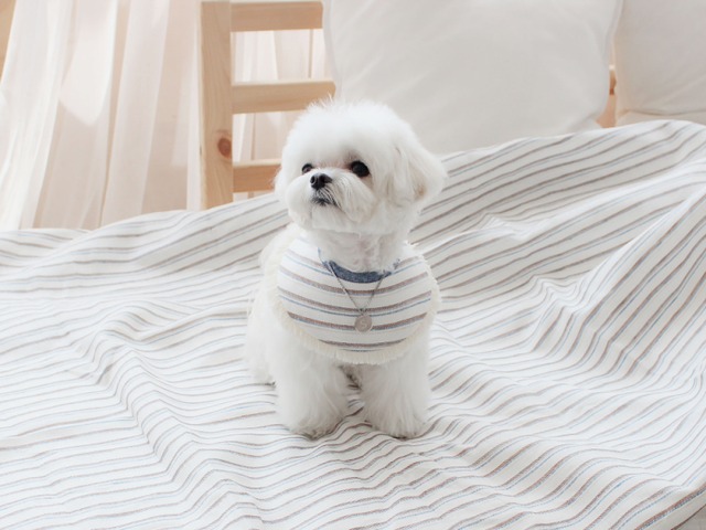 〈即納アイテム〉EYOU ケープ / Sky pendant (アルファベット L) Mサイズ