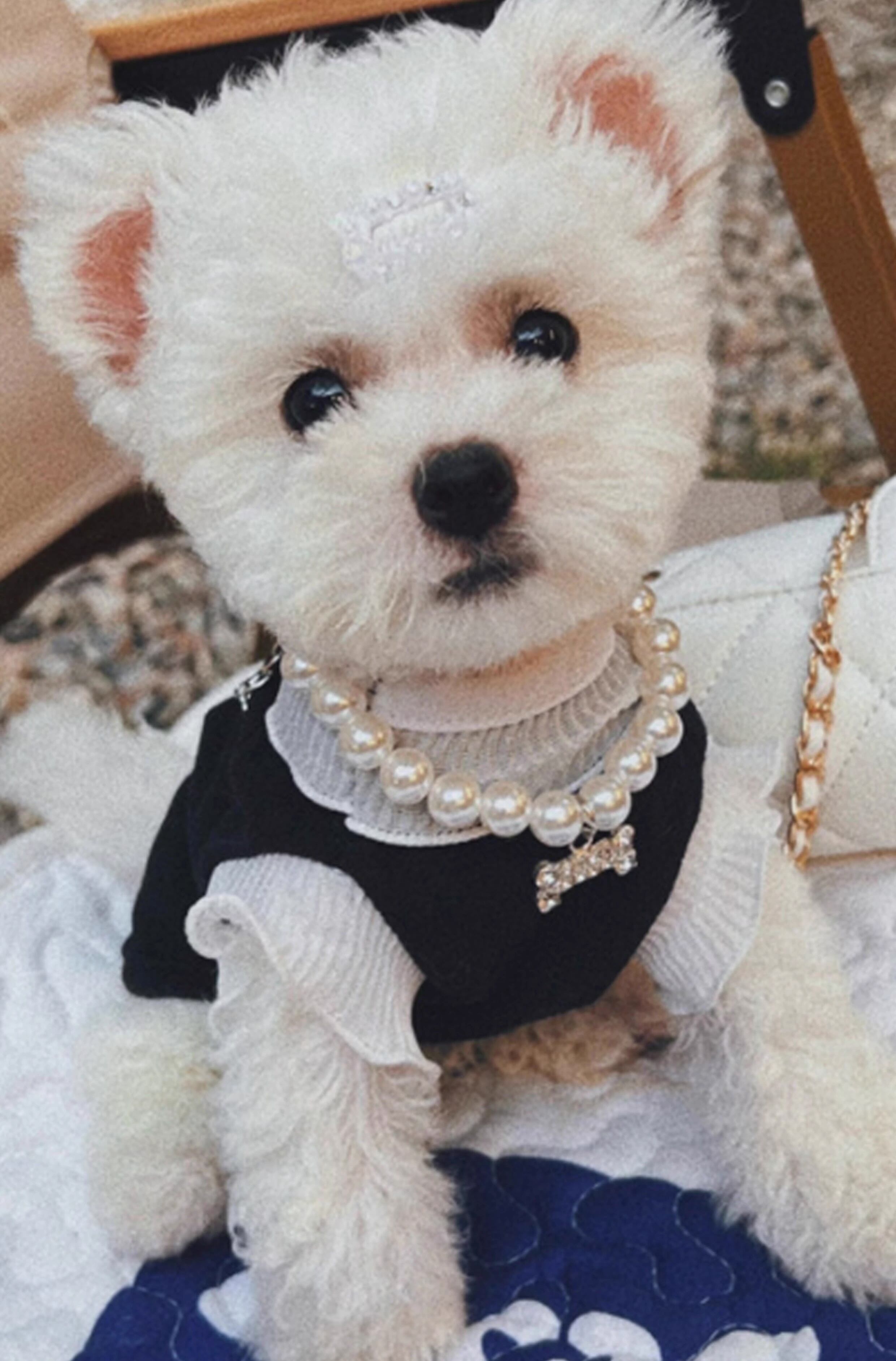 パールネックレス