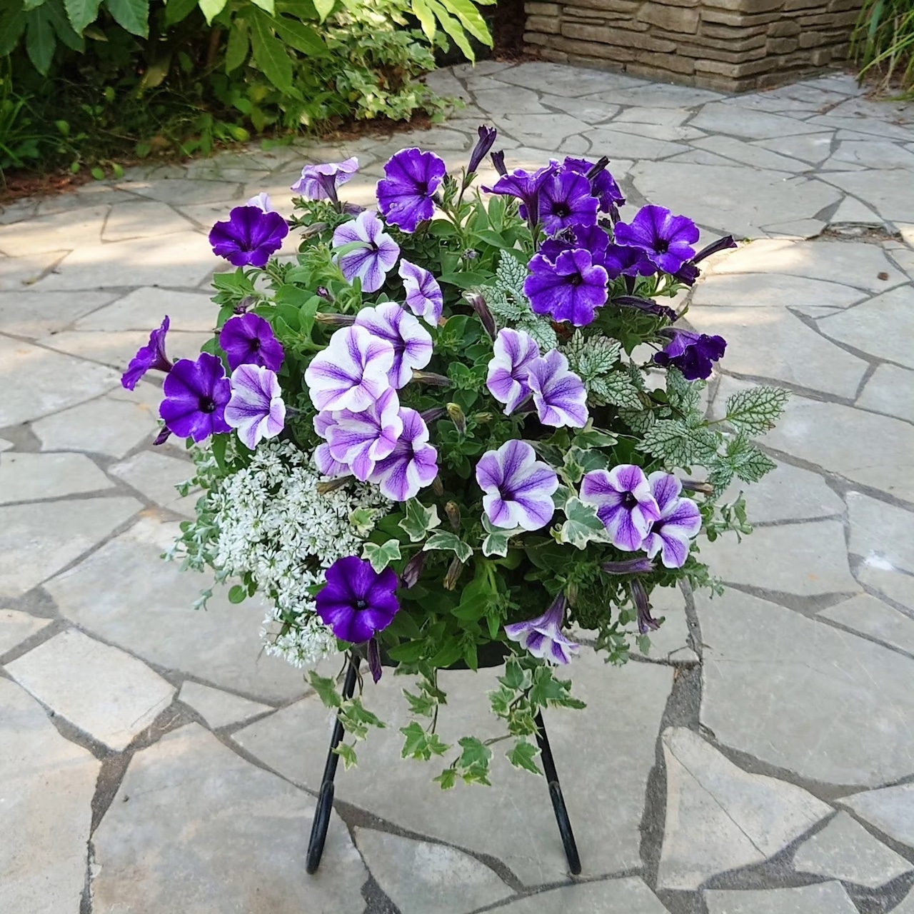 季節のお花を使ったハンギングバスケット ※スタンド別売り