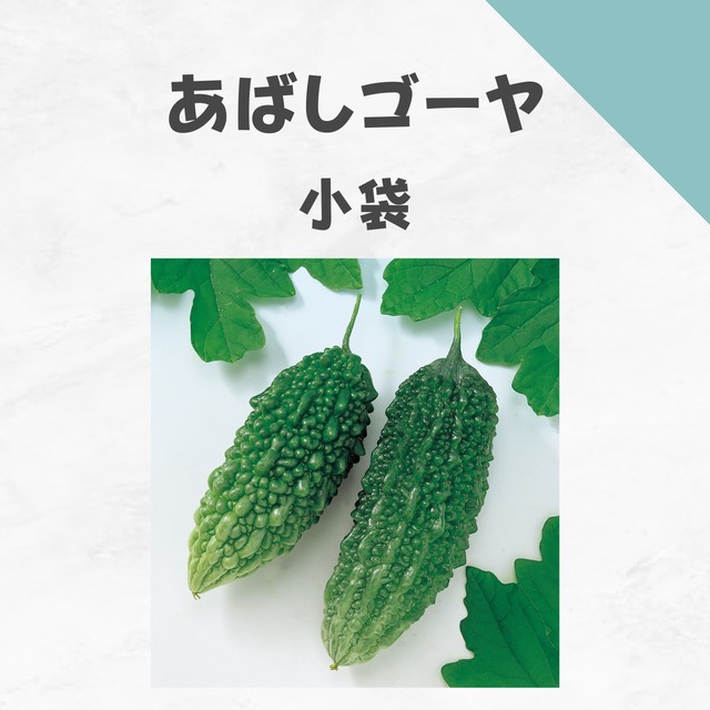 あばしゴーヤ　ゴーヤ種子・小袋