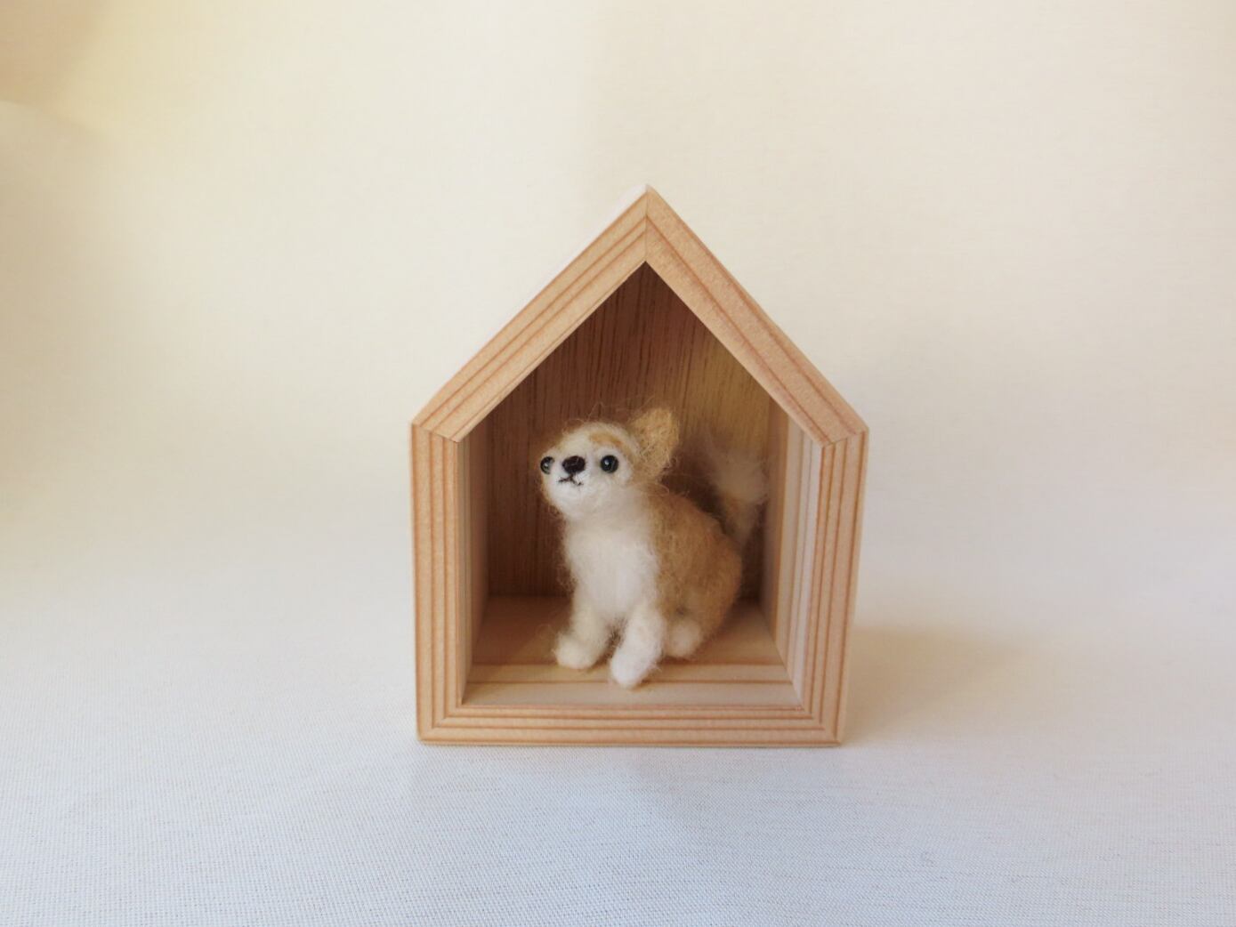 36.タヌキの剥製（床置き・台座付き） | Pay ID