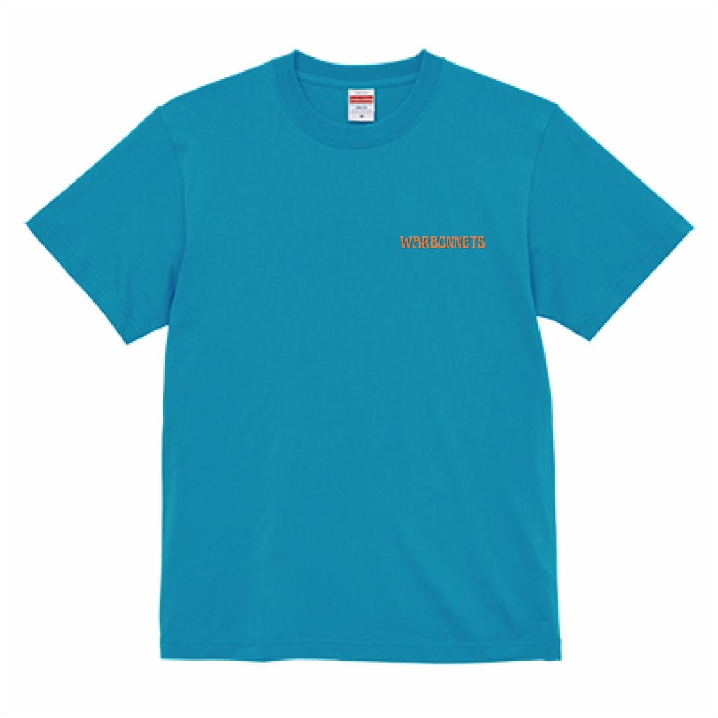 【美品L】Bristol × Hurley コラボTシャツ ターコイズブルー ブリストル Tシャツ 半袖 ターコイズ ブルー