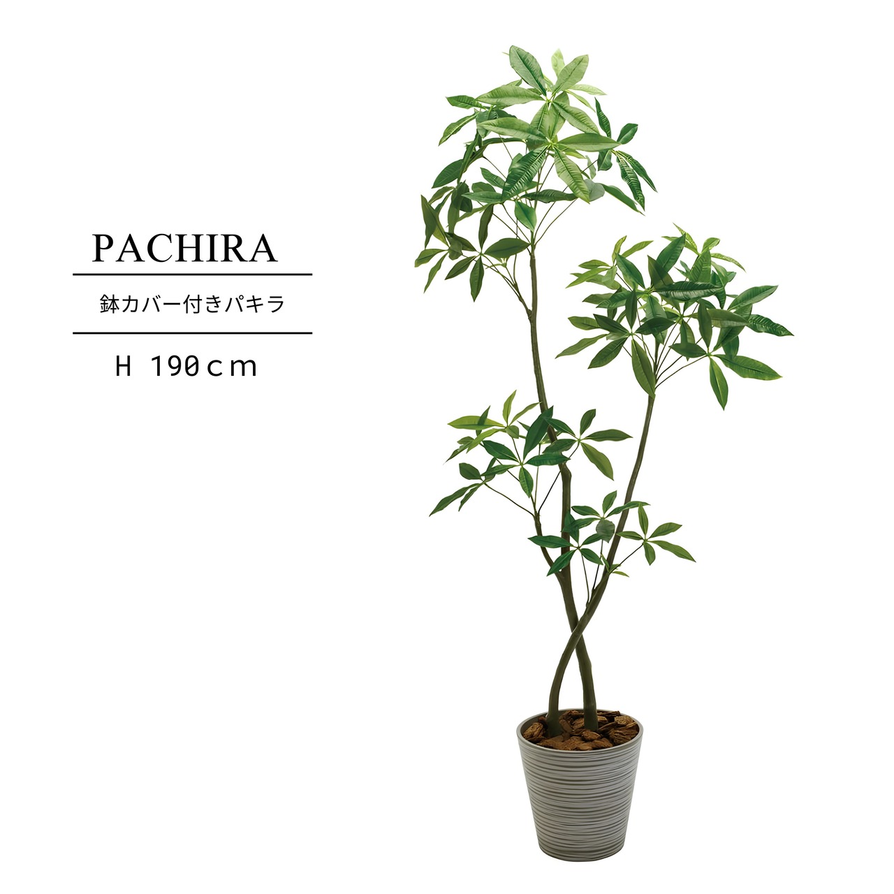鉢カバー付き パキラ190㎝［人工観葉植物・フェイクグリーンT］