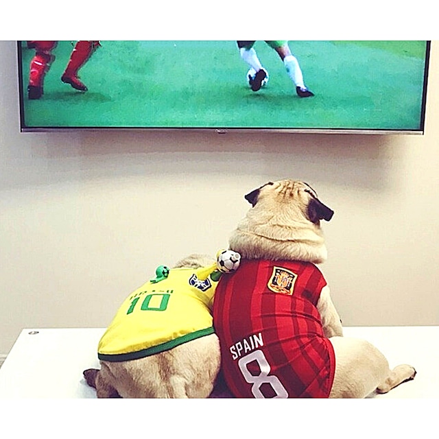 Dog Wear -soccer uniform-　　dogw-36
