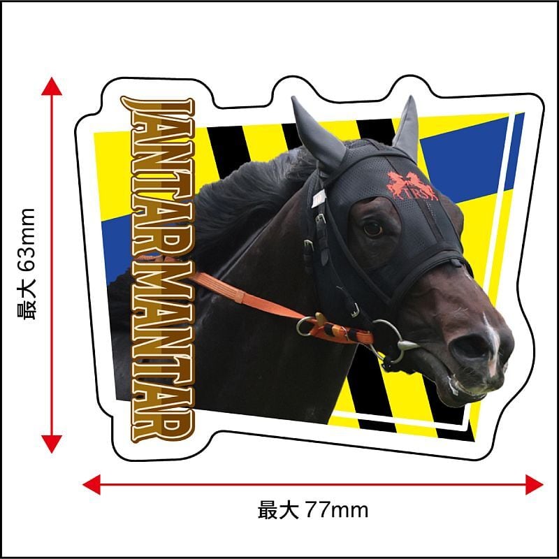 7234400dd02e314a8a56aa70aae2e2