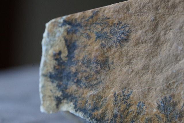 デンドライト 忍石 Dendritic limestone  ④