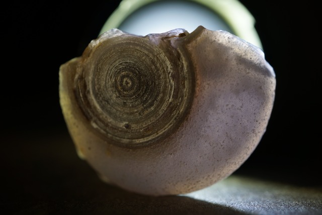 ゴビアゲート Gobi Agate 1450