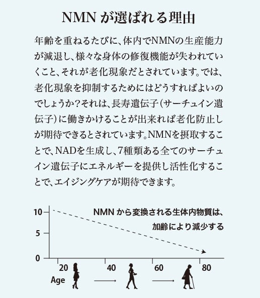 NMN Rita-Sirtuin9000 3箱セット(約3カ月分)
