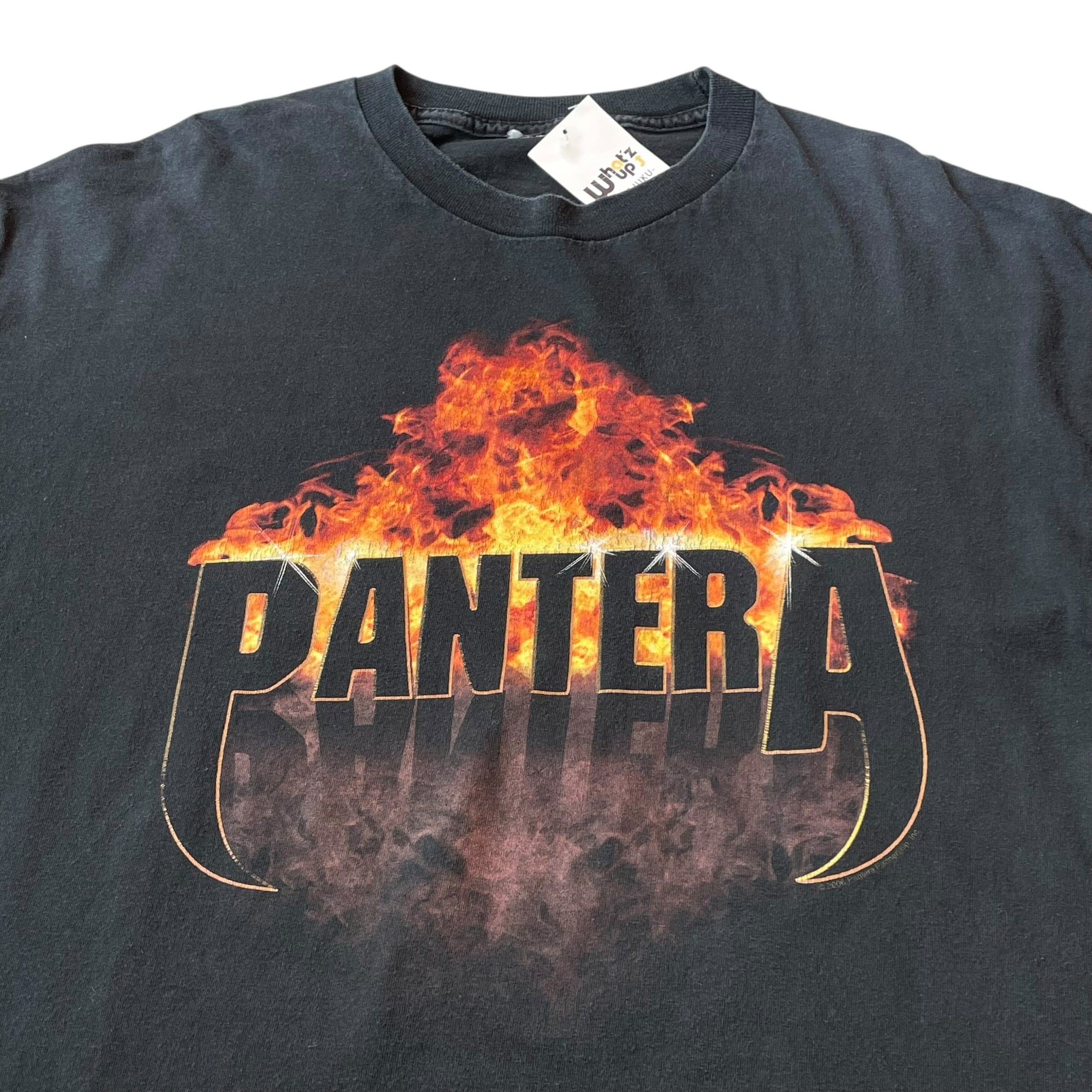 2006s PANTERA 