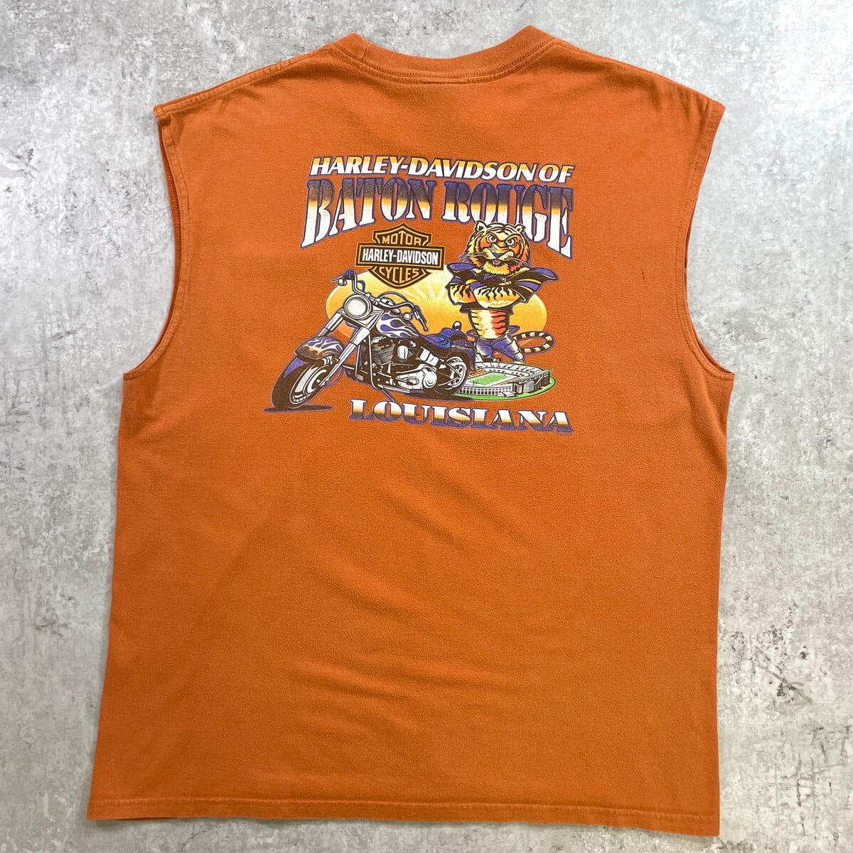BPQM バイク ラグ タペストリー 古着 ハーレー ダビッドソン ロゴ HARLEY-DAVIDSON ハーレーダビッドソン モーターサイクル プリント